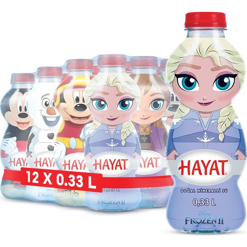 HAYAT SAKARYA FROZE 0,33 L X 12 ADET