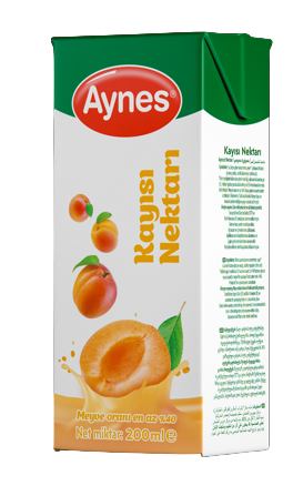 AYNES 200 ML KAYISI NEKTARI