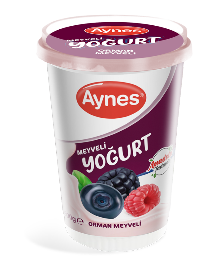 AYNES 500 GR MEYVELİ YOĞURT ORMAN MEYVELİ