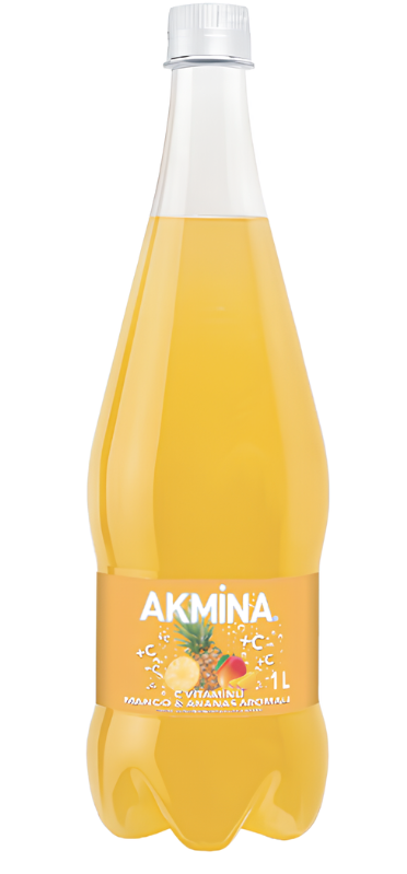 BURSA AKMİNA MANGO-ANANAS 1 LT X 12 ADET