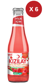 KIZILAY MEYVELİ KIRMIZI MEYVELER HİBİSCUS 6 ADET