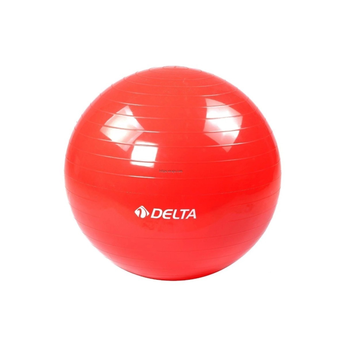 REK 357 DELTA PİLATES TOPU 55 CM