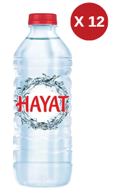 HAYAT POZANTI 0.50  LT (12 ADET) 