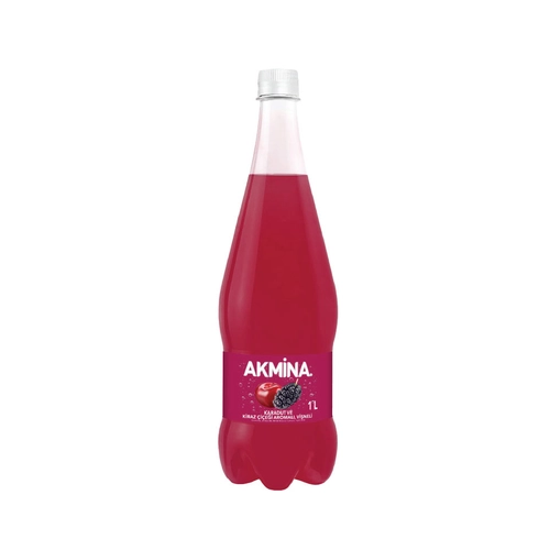 BURSA AKMINA  VİŞNE-KARADUT 1L 6 ADET