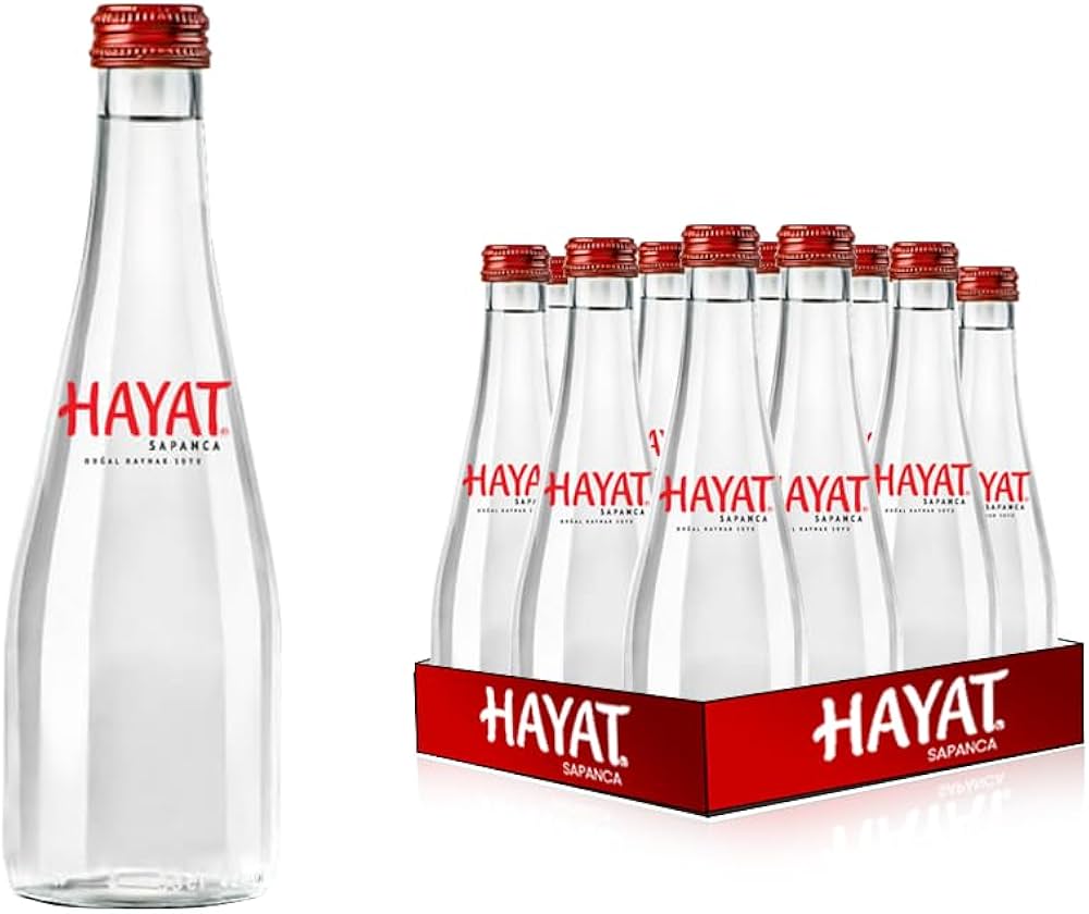 HAYAT SAPANCA 330 ML CAM SU 12 ADET